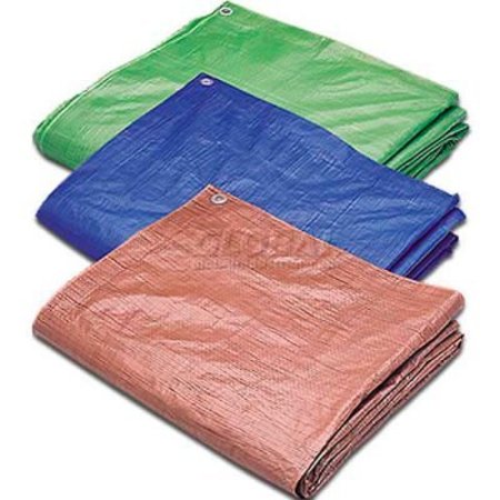 HYGRADE SAFETY SUPPLIES Heavy Duty Tarp, Blue MT-50100